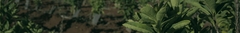 Banner de la categoría Productos