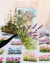 Imagem do Kit de Adesivos- Natureza – 40 Unidades | Vinil Transparente