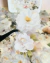 Imagem do Latinha Kit de Adesivos Flores – 100 Unidades