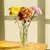 Vaso de Vidro Tulipa