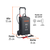 Cargador de baterías 52 A arrancador de 320A 12V/24V TRUPER en internet