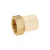 Adaptador CPVC 2" hembra inserto metálico-latón FOSET