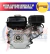 Motor A Gasolina Bergen De 7 Hp Con Cuña- Vp70 Uso Universal - tienda en línea