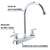 Mezcladora 8" fregadero cromo cuello curvo cono Basic FOSET - comprar en línea