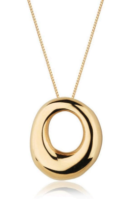 Colar Círculo Orgânico Banho de Ouro 18K - comprar online