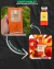 Maison Alhambra - Coral Blush (80ml) - comprar online