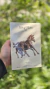 Lattafa - Art Of Nature 2 (100ml) - comprar online