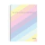 Caderno Universitário Pop of Colors Animativa 1 matéria 80 folhas - comprar online