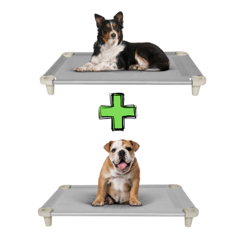 Kit 2 Caminha Pet Cama Confortável e Higiênica cinza Acrimet