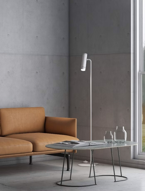 Cavia de pie - comprar online