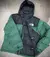 CAMPERA TNF RETRO 1996 - VERDE - comprar online