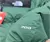 CAMPERA TNF RETRO 1996 - VERDE en internet