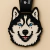Desafio Husky Siberiano - comprar online