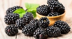 Banner de la categoría Mermeladas. Dulces y Miel Premium