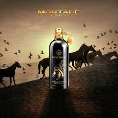 Banner de la categoría MONTALE