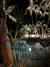 Imagem do banner rotativo Purity Tech