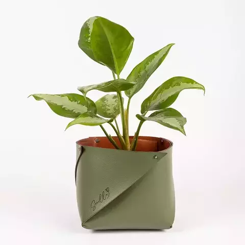 Cachepot P Caramelo / Oliva Dupla Face Impermeável Couro Ecológico Premium