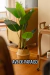 Plantas Artificiales Premium - tienda online