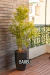 Plantas Artificiales Premium - mrplacadeco