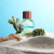 Cactus for Him Benetton EDT Masculino 100ml na internet