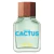 Cactus for Him Benetton EDT Masculino 100ml