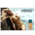 Animale EDP Feminino 100ml na internet