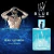 Udv Blue Ulric de Varens EDT Masculino 100ml na internet