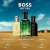 Bottled Bold Citrus Hugo Boss EDP Masculino 100ml - Lady perfurmaria