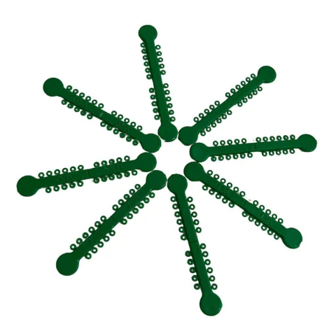 Ligadura elástica de color verde