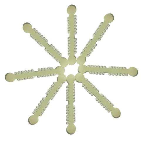 Ligadura elástica color fluorecente