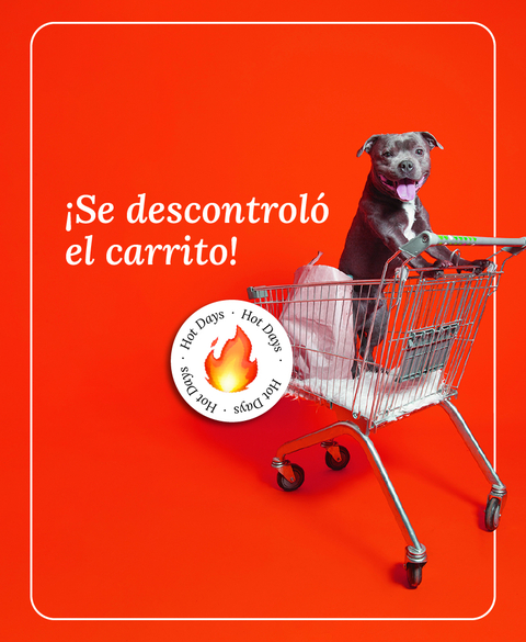 Carrusel 1