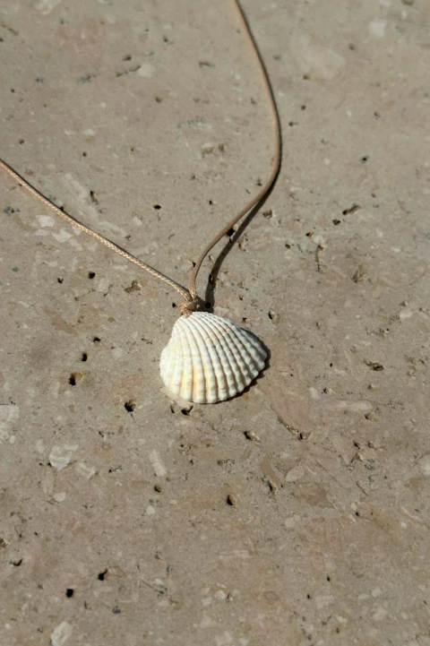 CHOCKER SEASHELL - comprar online