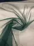 TECIDO TULE LIGHT VERDE FLORESTA - comprar online