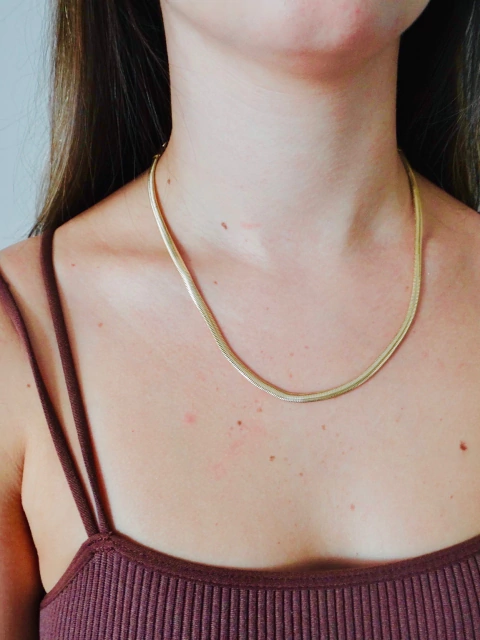 Choker Corrente Malha Snake - Folheado - comprar online