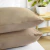 Set Fundas de Almohada Beige 50x75+10 solapa Cacharel Pack X2 100% Algodón Suave