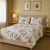 Juego de Sábanas Cacharel 150 Hilos | Confort Diario + Cofre Premium Reutilizable