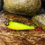 Isca Artificial - Marine Sports - Z Top 86 - Superfície - Floating - 8.6 cm - 11 g - Tucunaré na internet