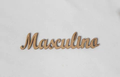 PALAVRA MASCULINO CURSIVA 14X3CM