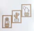 TRIO DE QUADROS CACTOS 66X29CM - comprar online