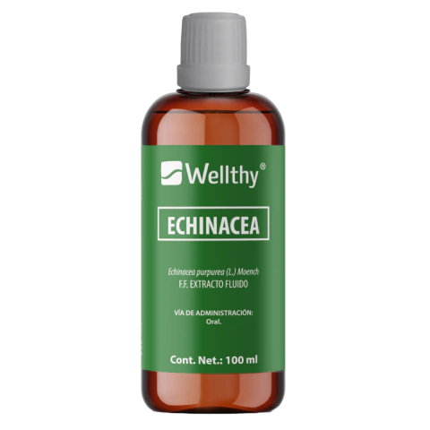Extracto de Echinacea 100 ml | Concentrado natural - comprar en línea