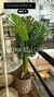 Plantas artificiales - comprar online