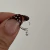 Argollas Flexibles Unitarias con Cubic | Laminadas en Plata 925
