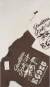 T-Shirt Jackson Hole Rodeo - loja online