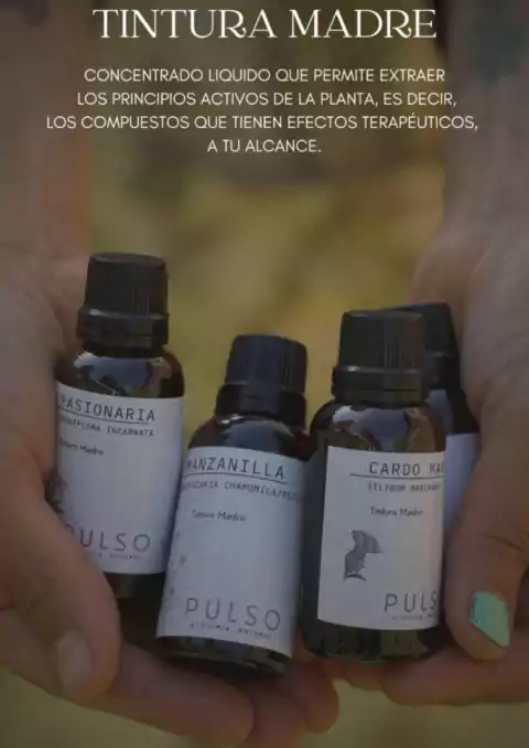 Tintura Madre de Jarilla - comprar online