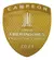 Patches de Campeão 2024