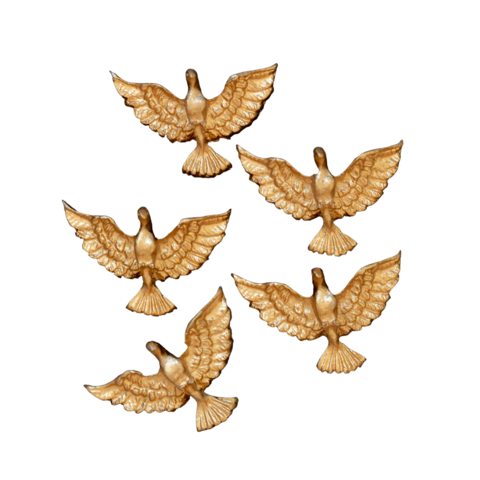 Aplique Divino Asinha - 5 Unidades 4 X 3,5 cm