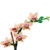 Imagen de Lego® Botanicals 10343 | Mini Orchid | Mini Orquidea | 274 Piezas