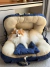 Cachorro da raça Pomeranian de pelo longo sentado em cama ninho 3 em 1 premium azul marinho e bege