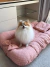 Cachorro Pomerânia branco e marrom sentado em cama ninho 3 em 1 premium rosê com estampa delicada