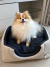 Cachorro da raça Pomerânia sentado em uma toca para cães na cor marinho e bege